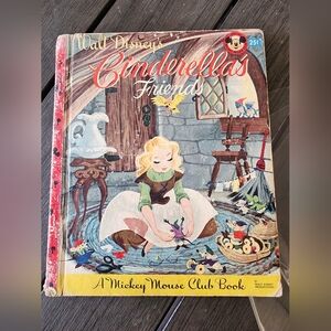 Cinderella's Friends Book